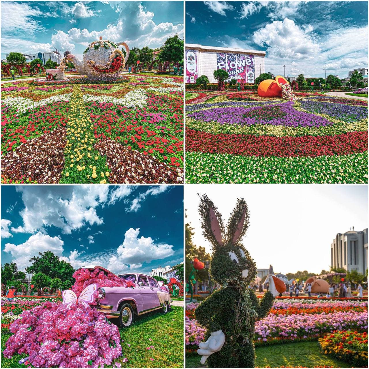 Toshkentga 2 kunlik tur — Magic City va Akvapark